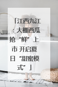江西九江：大棚西瓜抢“鲜”上市 开启夏日“甜蜜模式”