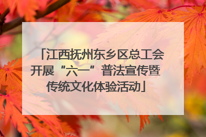 江西抚州东乡区总工会开展“六一”普法宣传暨传统文化体验活动