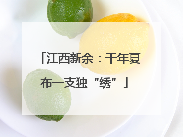 江西新余：千年夏布一支独“绣”