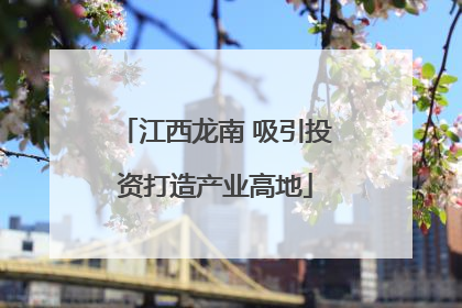 江西龙南 吸引投资打造产业高地