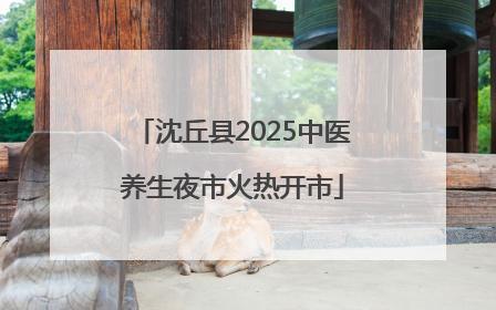 沈丘县2025中医养生夜市火热开市