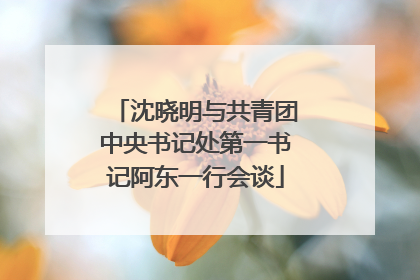 沈晓明与共青团中央书记处第一书记阿东一行会谈