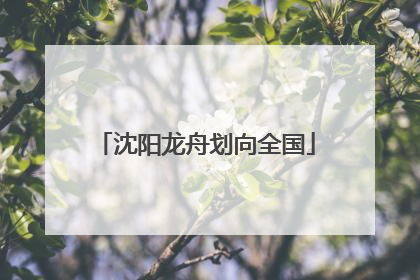 沈阳龙舟划向全国