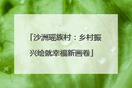 沙洲瑶族村：乡村振兴绘就幸福新画卷
