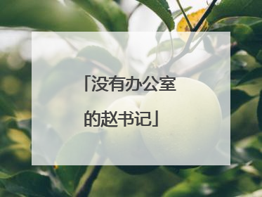 没有办公室的赵书记