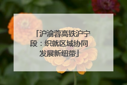 沪渝蓉高铁沪宁段：织就区域协同发展新纽带