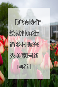 沪滇协作绘就钟屏街道乡村振兴秀美家园新画卷