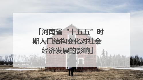 河南省“十五五”时期人口结构变化对社会经济发展的影响