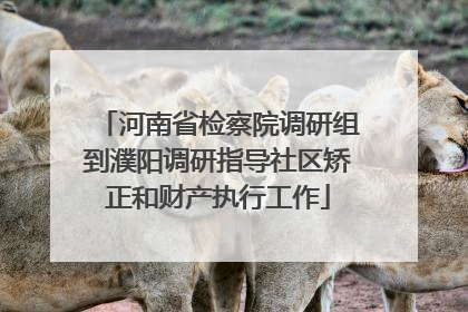 河南省检察院调研组到濮阳调研指导社区矫正和财产执行工作