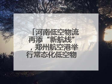 河南低空物流再添“新航线”，郑州航空港举行常态化低空物流试飞活动