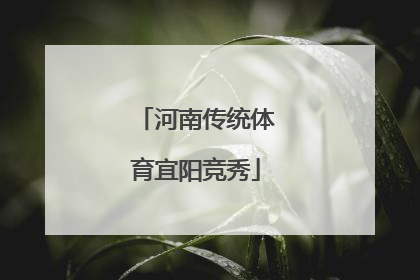 河南传统体育宜阳竞秀
