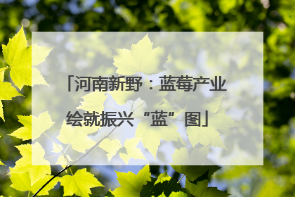 河南新野：蓝莓产业绘就振兴“蓝”图