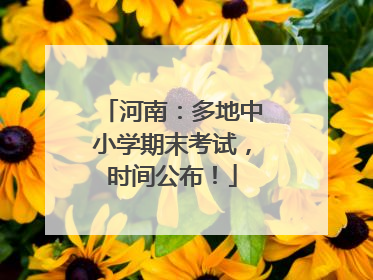 河南：多地中小学期末考试，时间公布！