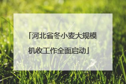 河北省冬小麦大规模机收工作全面启动