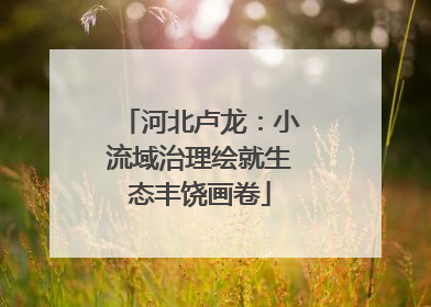 河北卢龙：小流域治理绘就生态丰饶画卷