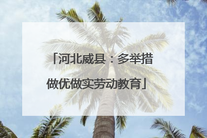 河北威县：多举措做优做实劳动教育