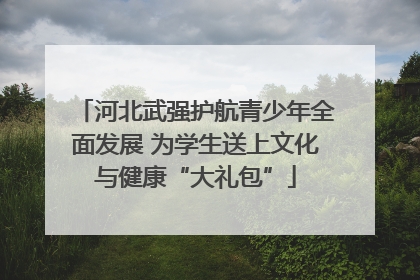 河北武强护航青少年全面发展 为学生送上文化与健康“大礼包”