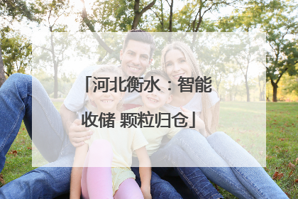 河北衡水：智能收储 颗粒归仓
