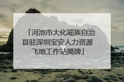 河池市大化瑶族自治县驻深圳宝安人力资源飞地工作站揭牌