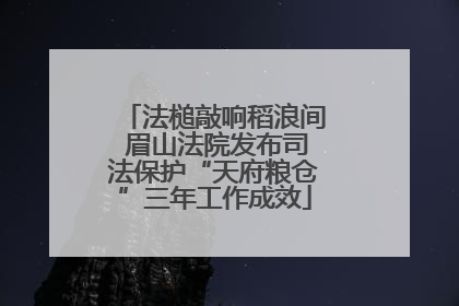 法槌敲响稻浪间 眉山法院发布司法保护“天府粮仓”三年工作成效