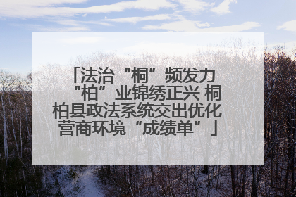 法治“桐”频发力 “柏”业锦绣正兴 桐柏县政法系统交出优化营商环境“成绩单”