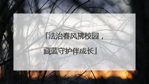 法治春风拂校园，藏蓝守护伴成长