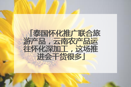 泰国怀化推广联合旅游产品，云南农产品运往怀化深加工，这场推进会干货很多