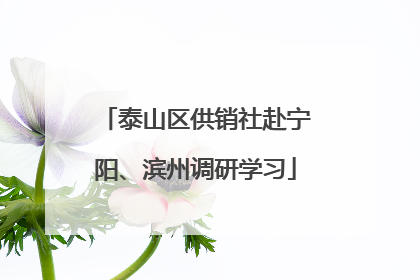 泰山区供销社赴宁阳、滨州调研学习