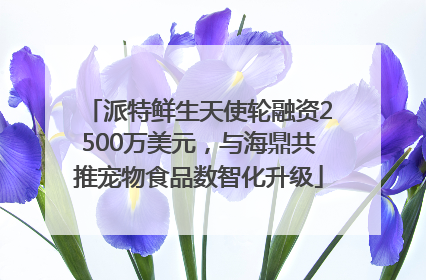派特鲜生天使轮融资2500万美元，与海鼎共推宠物食品数智化升级