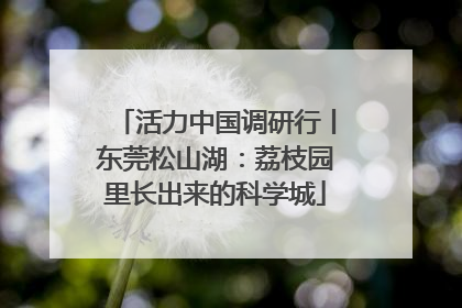 活力中国调研行丨东莞松山湖：荔枝园里长出来的科学城