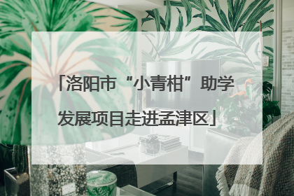 洛阳市“小青柑”助学发展项目走进孟津区
