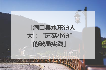 洞口县水东镇人大：“蘑菇小镇”的破局实践