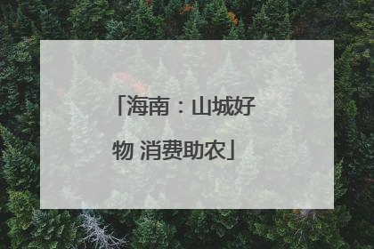 海南：山城好物 消费助农