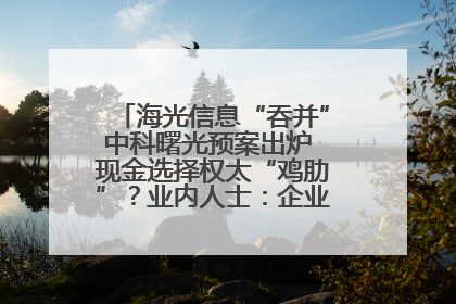海光信息“吞并”中科曙光预案出炉 现金选择权太“鸡肋”？业内人士：企业不想大量现金流出