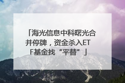 海光信息中科曙光合并停牌，资金杀入ETF基金找“平替”