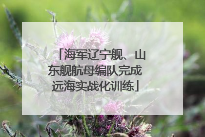 海军辽宁舰、山东舰航母编队完成远海实战化训练