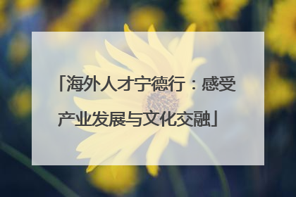 海外人才宁德行：感受产业发展与文化交融