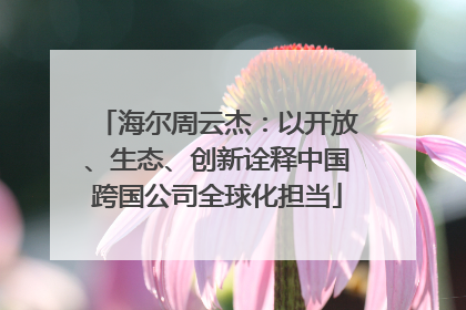 海尔周云杰：以开放、生态、创新诠释中国跨国公司全球化担当