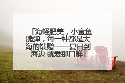 海蛏肥美，小章鱼脆弹，每一种都是大海的馈赠——夏日到海边 就爱那口鲜
