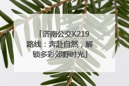 济南公交K219路线：奔赴自然，解锁多彩郊野时光