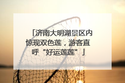 济南大明湖景区内惊现双色莲，游客直呼“好运莲莲”