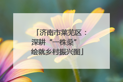 济南市莱芜区：深耕“一株桑” 绘就乡村振兴图