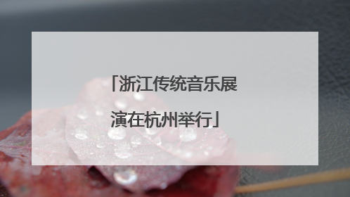 浙江传统音乐展演在杭州举行