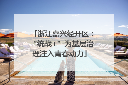 浙江嘉兴经开区：“统战+”为基层治理注入青春动力