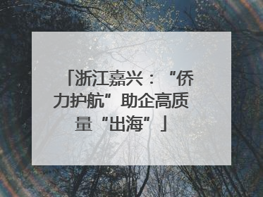 浙江嘉兴：“侨力护航”助企高质量“出海”