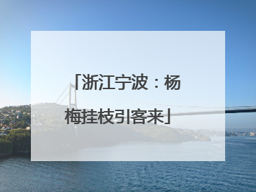 浙江宁波：杨梅挂枝引客来