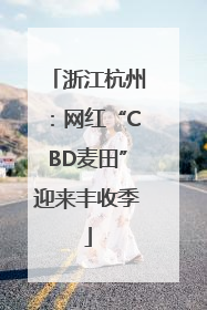 浙江杭州：网红“CBD麦田”迎来丰收季