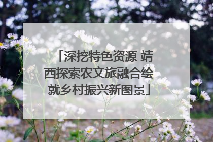 深挖特色资源 靖西探索农文旅融合绘就乡村振兴新图景