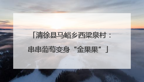 清徐县马峪乡西梁泉村：串串葡萄变身“金果果”
