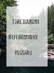 渌口法院组织开展禁毒宣传活动